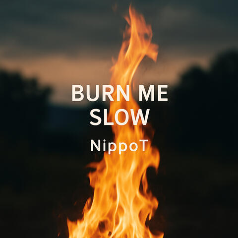 Burn Me Slow album art