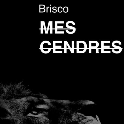 Mes cendres album art