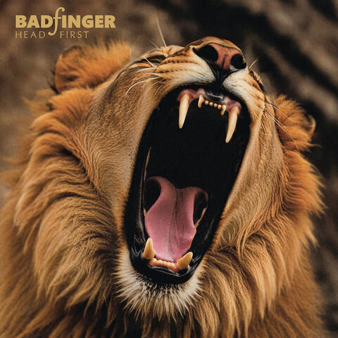 Head First album art