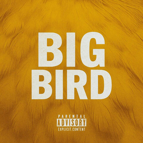 Big Bird album art