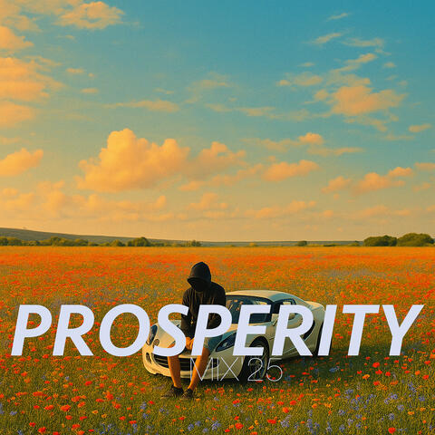 Prosperity (MIX'25) album art