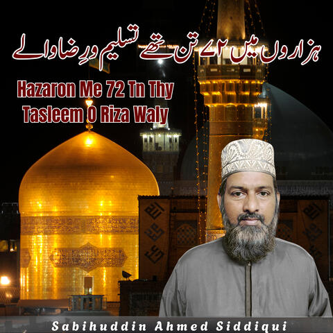Hazaron Me 72 Tn Thy Tasleem O Riza Waly album art
