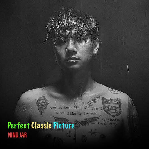 Perfect Classic Picture album art
