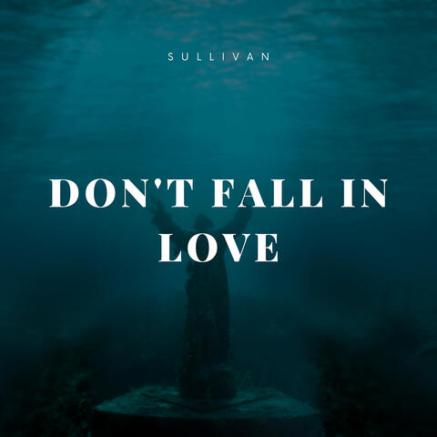 Don't fall in love album art