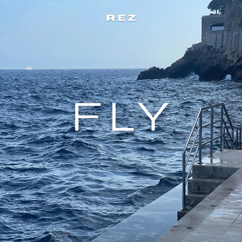 Fly album art