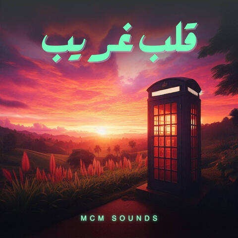 قلب غريب album art