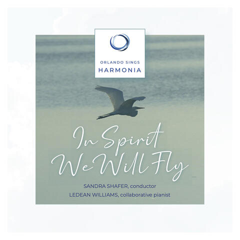 In Spirit We Will Fly album art
