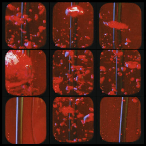 Red Riptide album art
