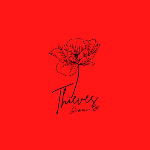 Thieves album art