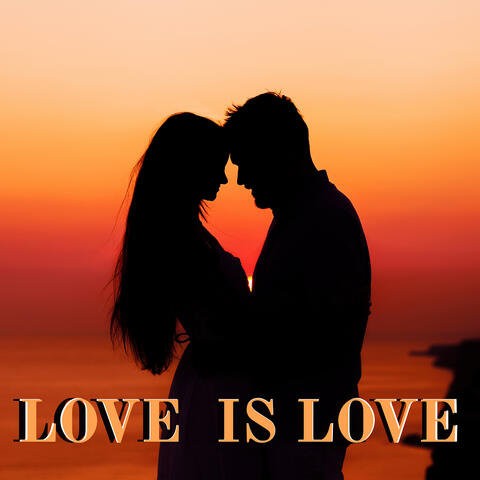 Love Is Love album art