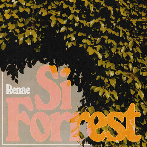 Renae album art