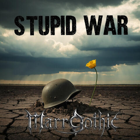 Stupid War album art
