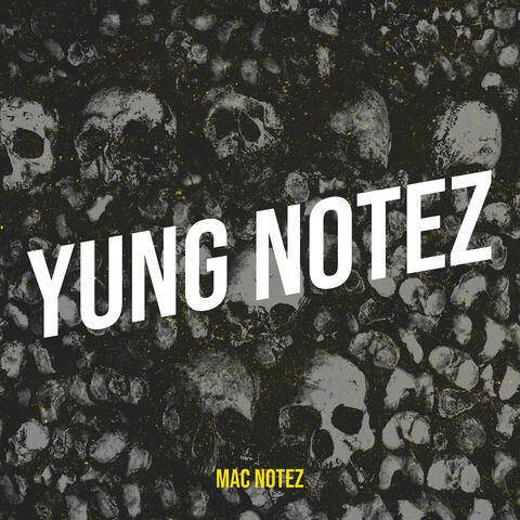 Yung Notez album art