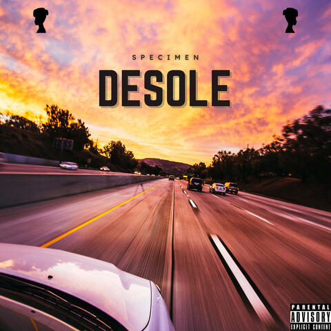 Désolé album art