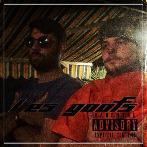 Les goofs album art