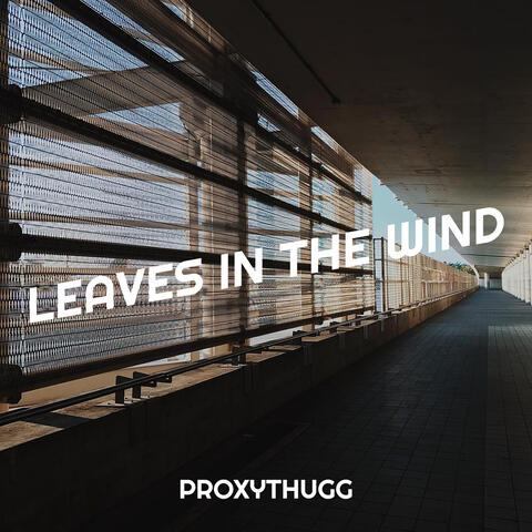 Leaves in the Wind album art