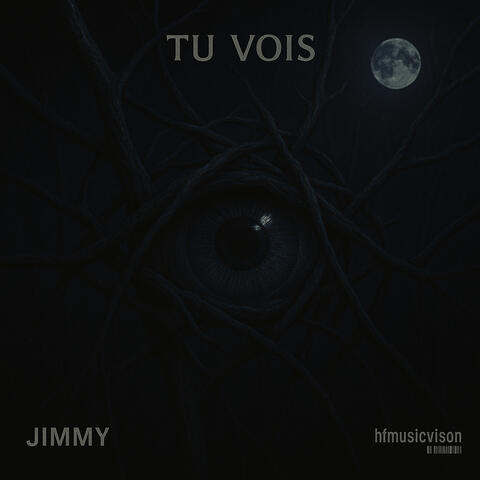 tu vois album art