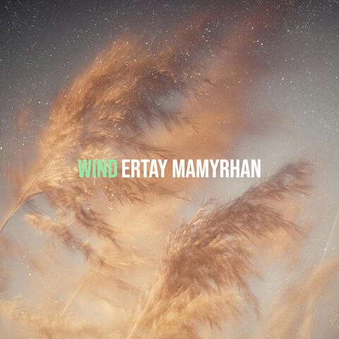 Wind album art