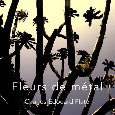 FLEURS DE METAL album art
