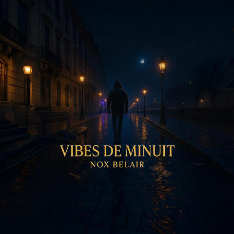Vibes de minuit album art