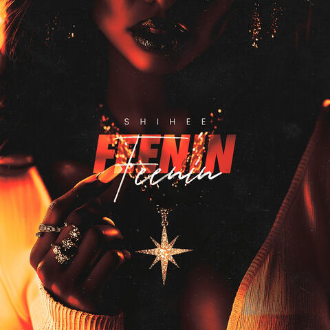Feenin album art