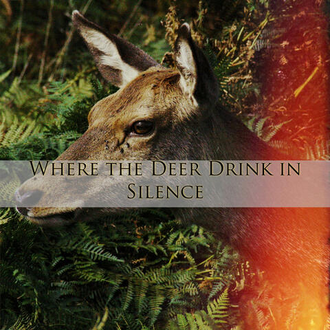 Where the Deer Drink in Silence album art