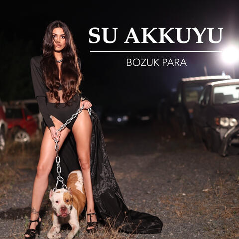 Bozuk Para album art