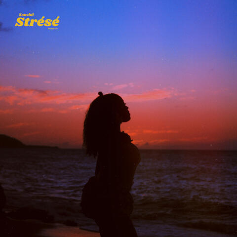 Strésé album art