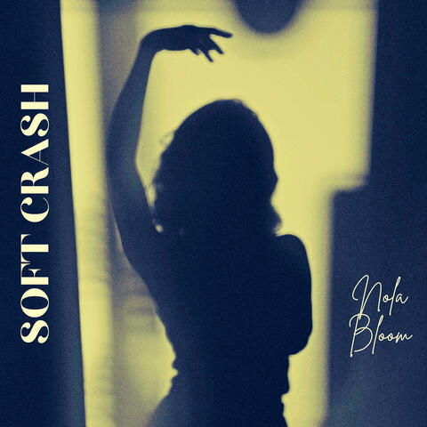Soft Crash album art