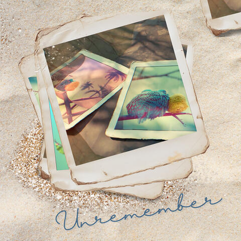 Unremember (Radio Mix) album art