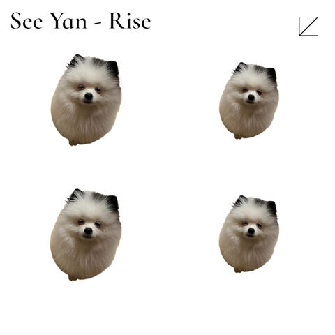 Rise album art
