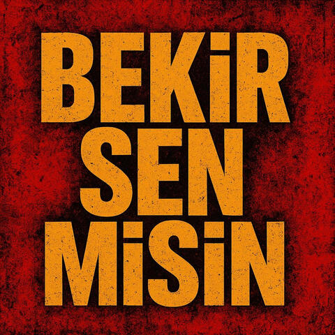 Bekir Sen Misin album art
