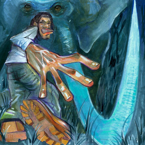 The Elephant & The Rider  (W!LD Deluxe) album art