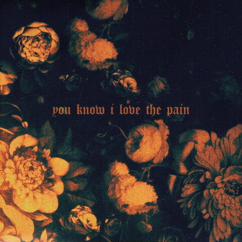You Know I Love the Pain album art