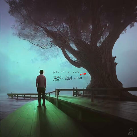 plant a seed (Remix) album art