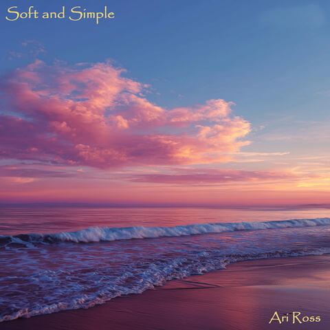 Soft and Simple album art