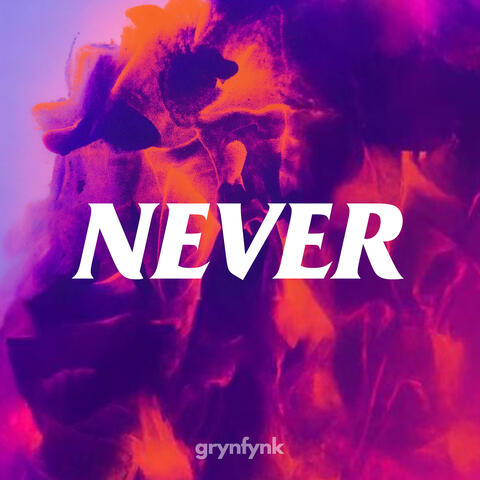 Never album art