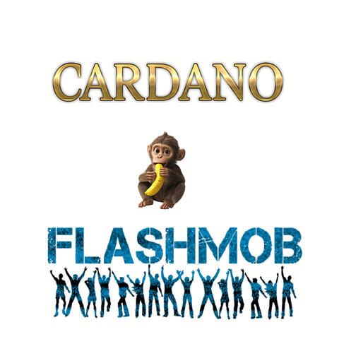 Cardano Flashmob album art