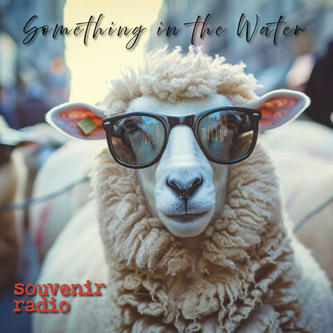 Something in the Water album art