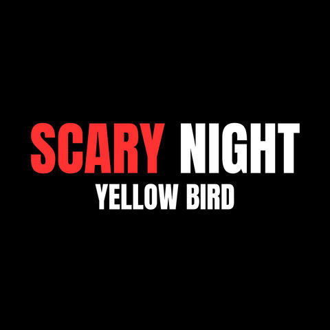 Scary Night album art