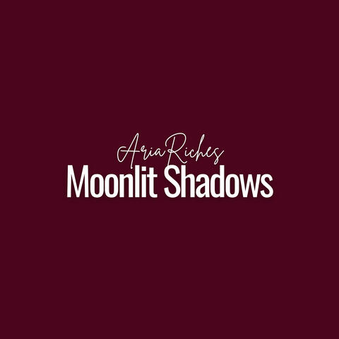 Moonlit Shadows album art