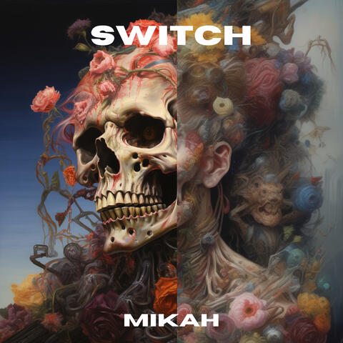 Switch album art
