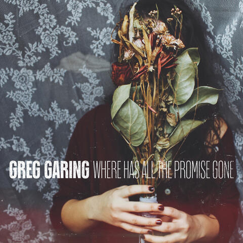 Where Has All the Promise Gone album art