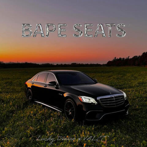 Bape Seats album art