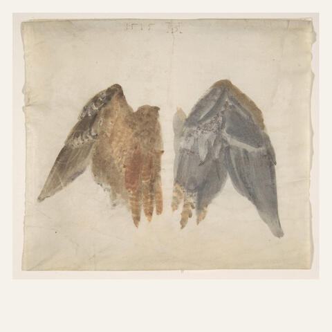 Birds album art