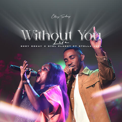 Without You (Live) album art