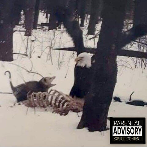 Apex Foundation album art