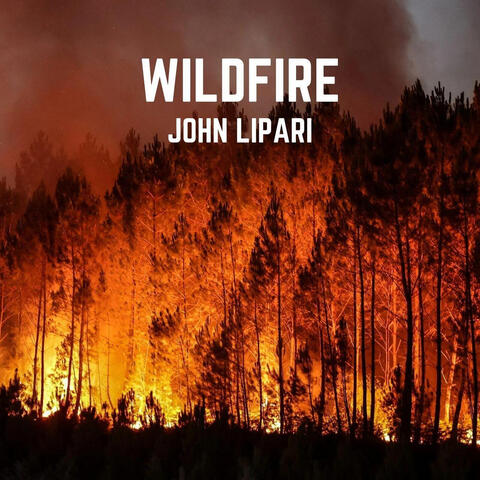 Wildfire album art