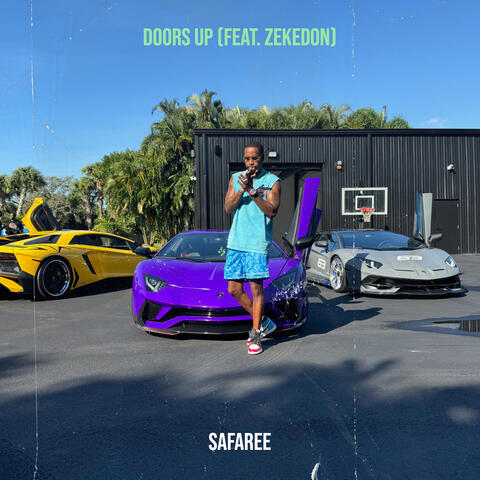 Doors Up album art