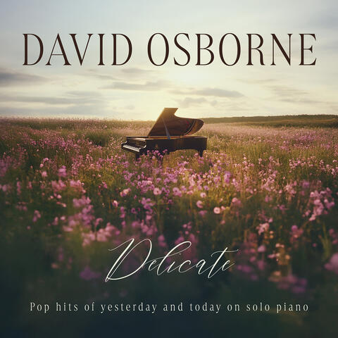 Delicate: Pop Hits of Yesterday and Today on Solo Piano album art